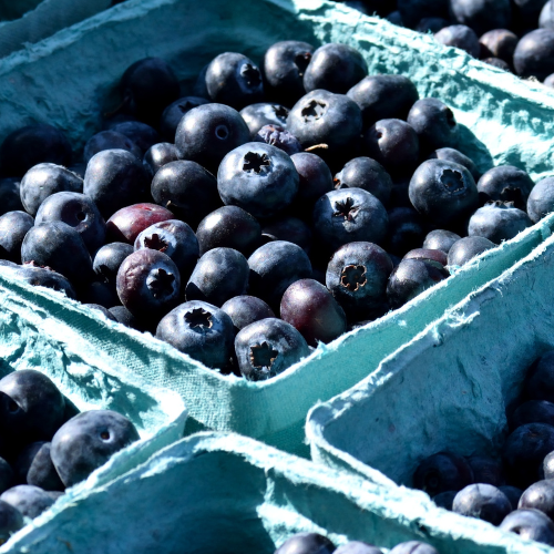 National Blueberry Month with Fresh Summer Recipes
