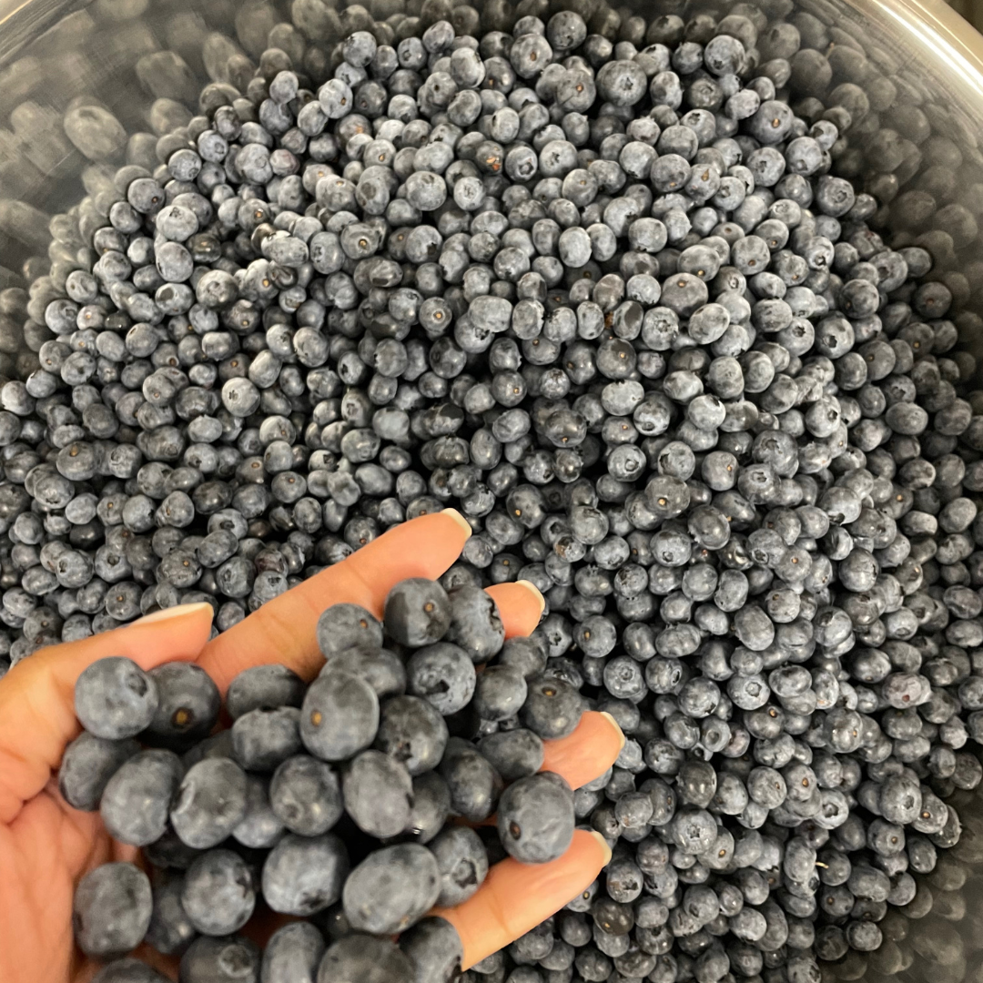Move over peaches, discover Georgia's blueberries🫐