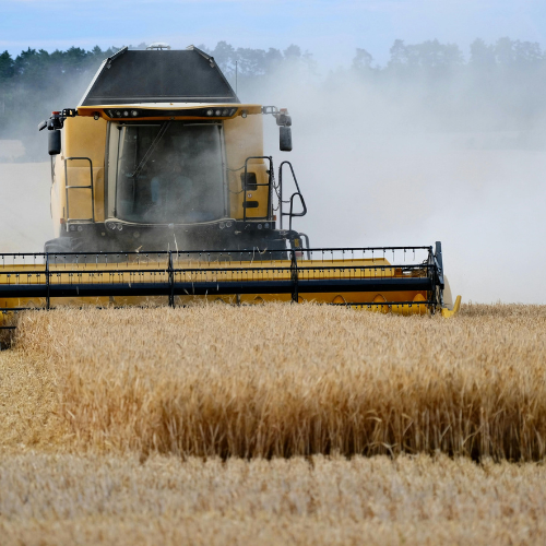 Why Organic and Unbleached flour matters